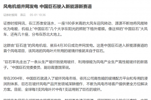 时报：风电机组并网发电 中国云顶集团3118驶入新能源新赛道